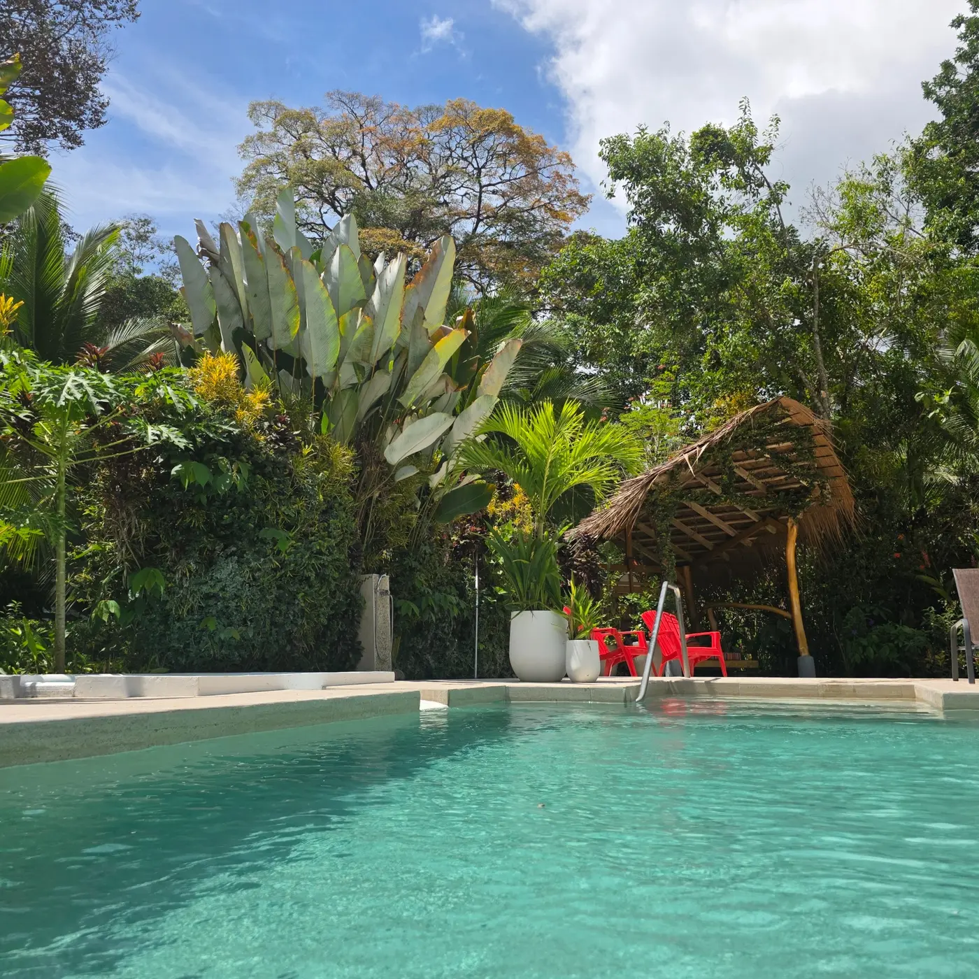 La Rana's saltwater pool surrounded by lush tropical plants